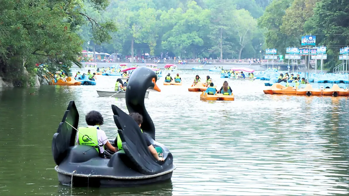 lago de chapultepec_foto_daniel galeana